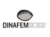 Original Amnesia Féminisée Dinafem