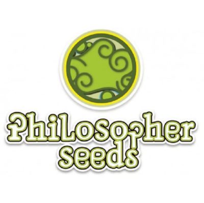 graines philosopher seedss