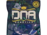 Chocolope féminisée Dna Genetics