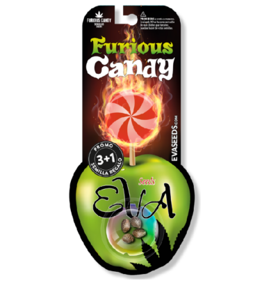 Furious Candy Eva Seeds