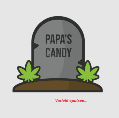 Papa's Candy Eva seeds