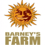 graines Barney's farm pas cheres