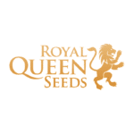 graines royal Queen Seeds