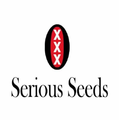 graines serious seeds