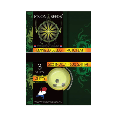 Graines de Blueberry bliss auto Vision Seeds par Grainescollection.fr