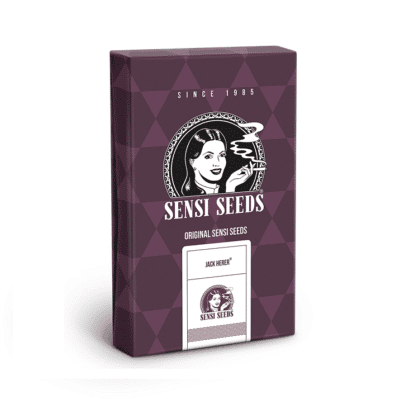 Jack Herer Sensi Seeds graines féminisées