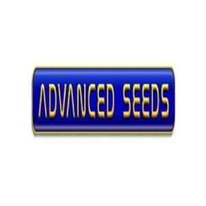 Graines cannabis advanced seeds