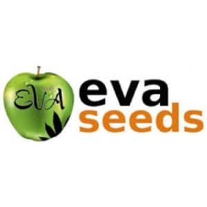 graines eva seeds