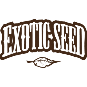 graines Exotic Seeds pas cher
