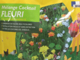 Mélange Cocktail fleuri BARENBRUG
