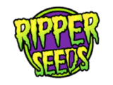 Grapegum féminisée Ripper Seeds