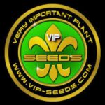 vip seeds
