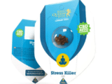 Stress Killer Auto CBD Royal Queen Seeds