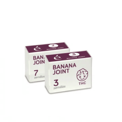 Banana joint Elite SEEDS