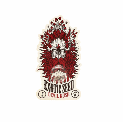Devil Kush regular Exotic Seeds