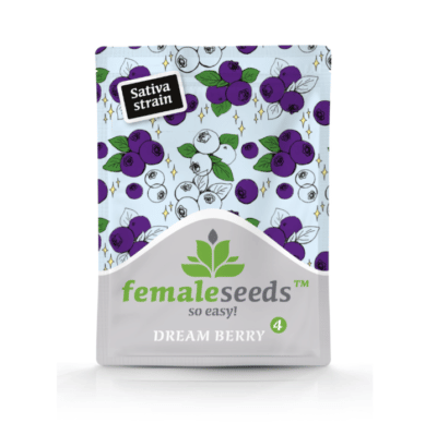 Dream Berry Female Seeds graines de cannabis