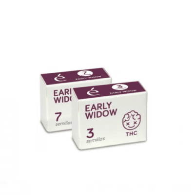 Early Widow Elite seeds