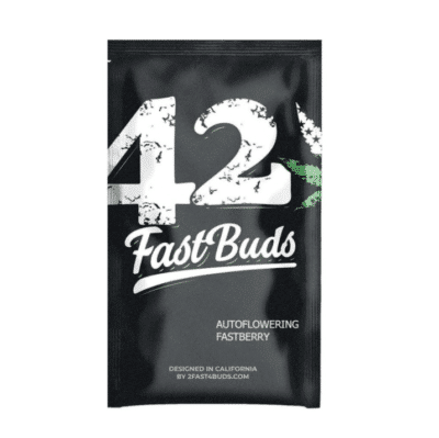 Fastberry auto Fastbuds