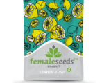 Lemon Kush Female Seeds