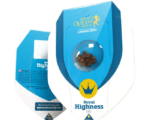 Royal Highness CBD Royal Queen Seeds