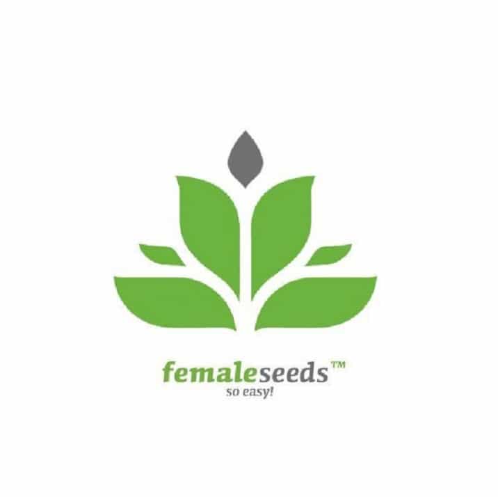 graines female Seeds