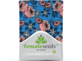 Iced Grapefruit Female Seeds