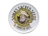Amnesia Haze régulière Soma Seeds
