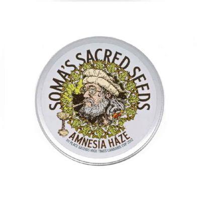 Amnesia haze regular soma seeds