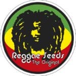 graines reggae seeds