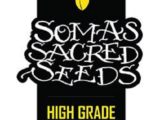 NYC Diesel régulière Soma Seeds