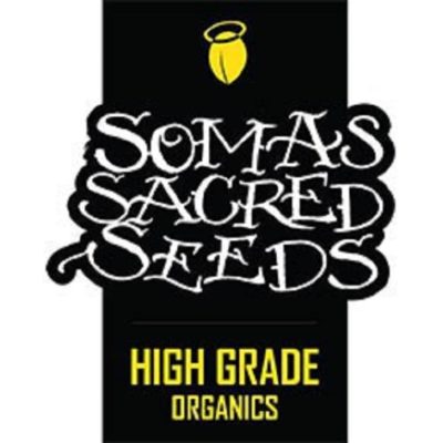 Graines Soma Seeds