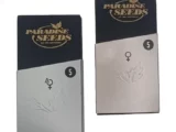 Nebula féminisée Paradise Seeds