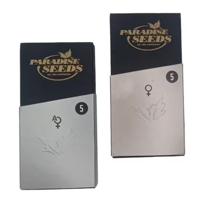 Opium Paradise Seeds