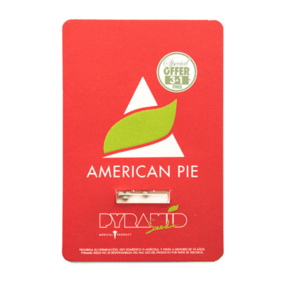 American Pie Pyramid seeds