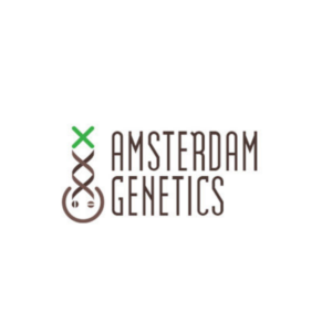 graines amsterdam genetics