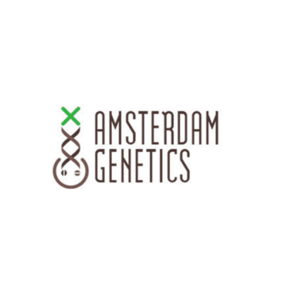 graines amsterdam genetics