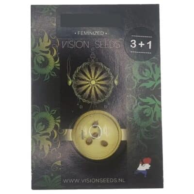 Graines Amnesia x Buddha Kush Vision Seeds par Grainescollection.fr