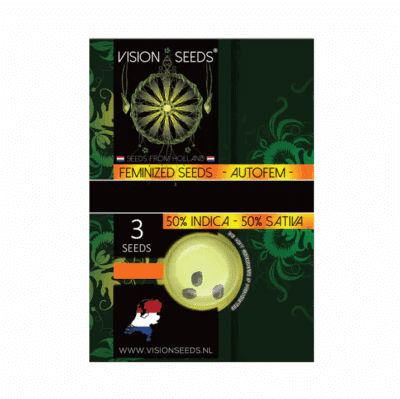 Lamb's Breath x AK-49 Vision Seeds