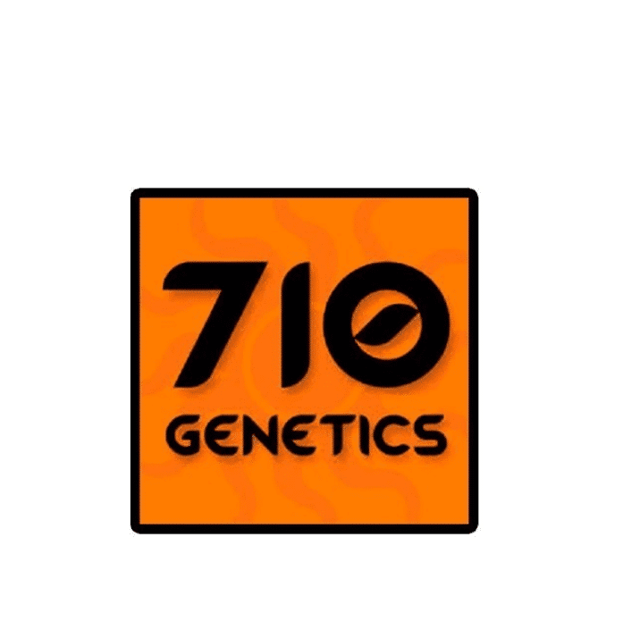 graines 710 genetics seeds