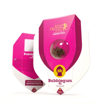 BubbleGum XL RQS