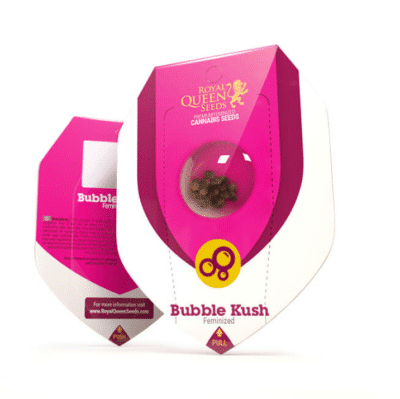 Bubble kush féminisée Royal Queen Seeds
