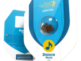 Dance World CBD Féminisée Royal Queen Seeds