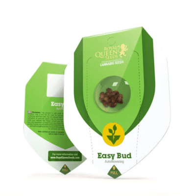 Easy bud auto Royal Queen Seeds