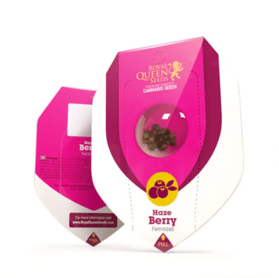 Haze berry féminisée Royal queen Seeds