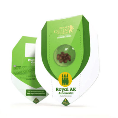 Royal AK Auto Royal Queen Seeds