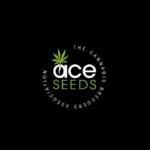 graines cannabis ACE Seeds