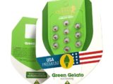 Green Gelato Automatic Royal Queen Seeds