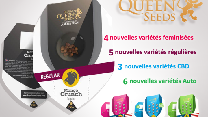 Nouvelles variétés Royal Queen Seeds