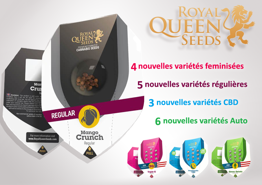 Nouvelles variétés Royal Queen Seeds