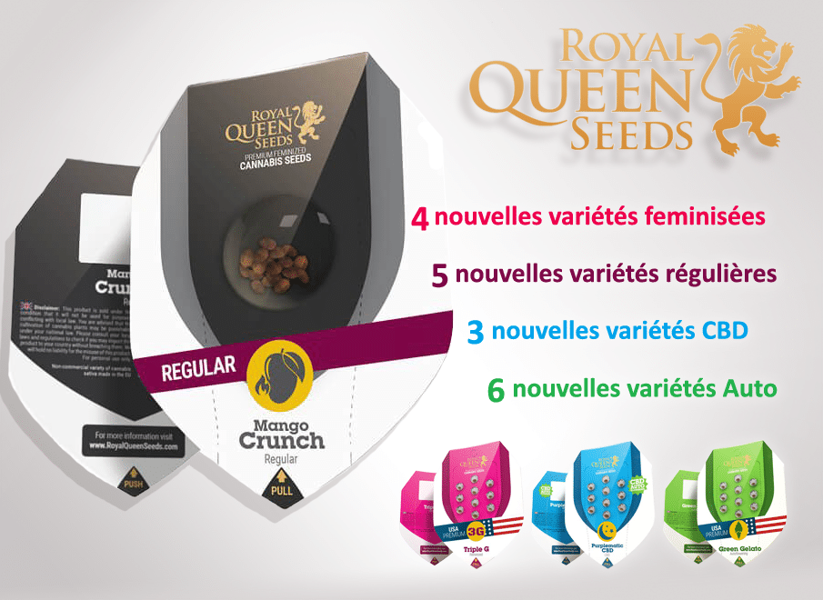 nouvelles graines royal queen seeds